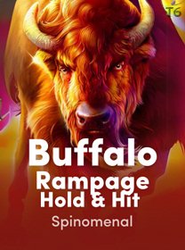 Buffalo Rampage Hold And Hit