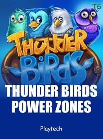 Power Zones Thunder Birds